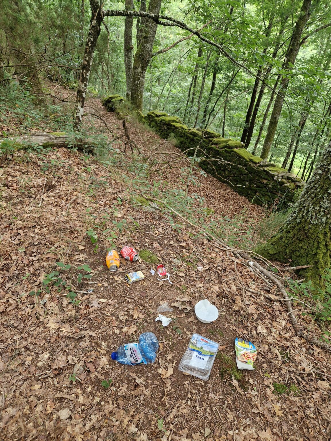 This country has a littering problem