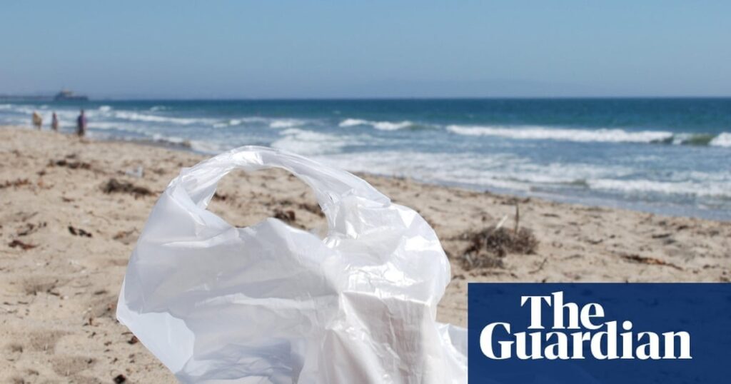 Number of plastic bags found on UK beaches down 80% since charge introduced | Plastic bags Number of plastic bags found on UK beaches down 80% since charge introduced | Plastic bags