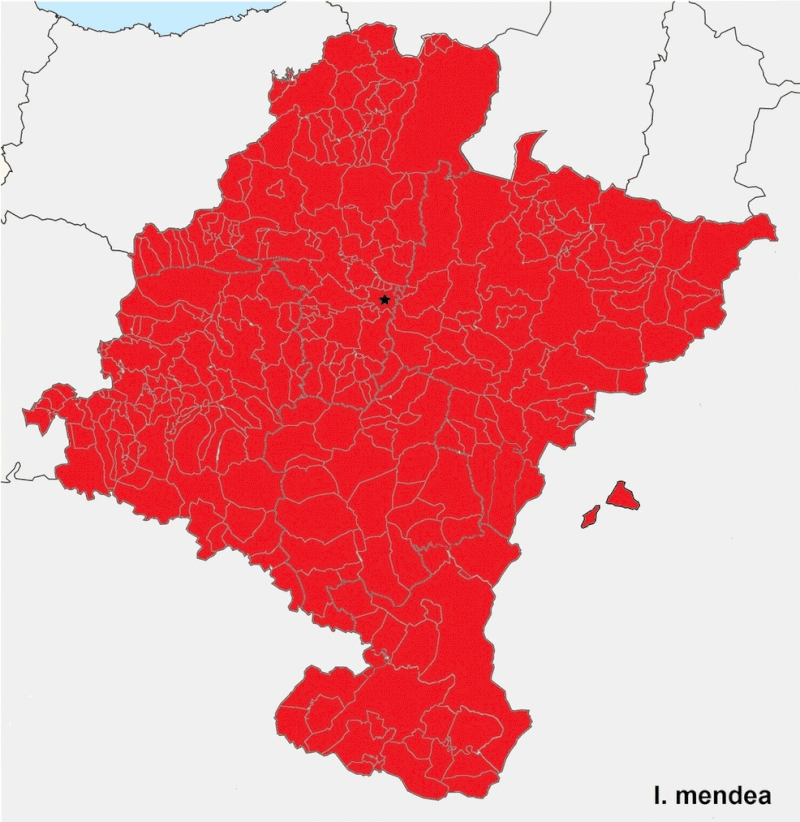 The Basque language in Navarre in the last two thousand years