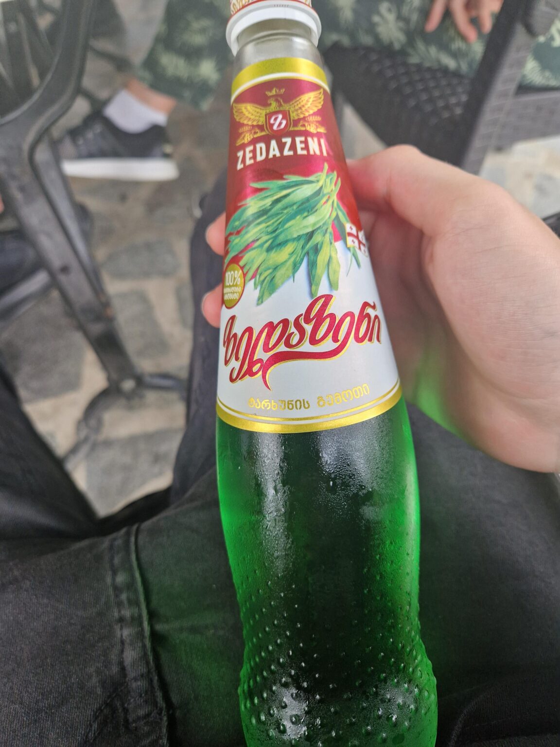 My first day in Sakartvelo and this thing is fucking sick