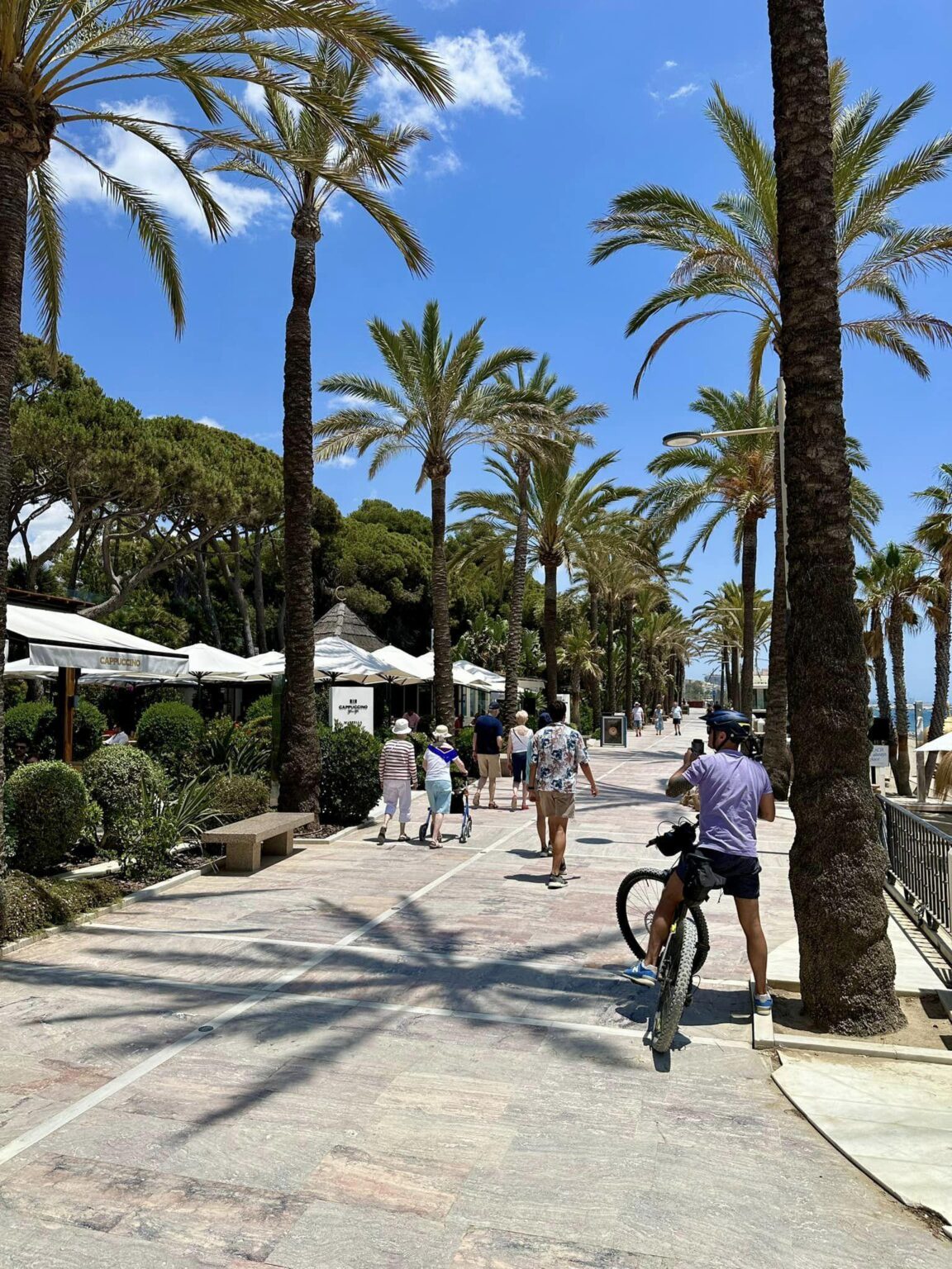 Feeling jealous of people who were born here, wdym u grew up in paradise