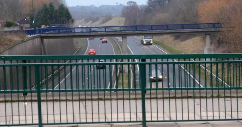 Viral video captures yobs throwing bricks at traffic