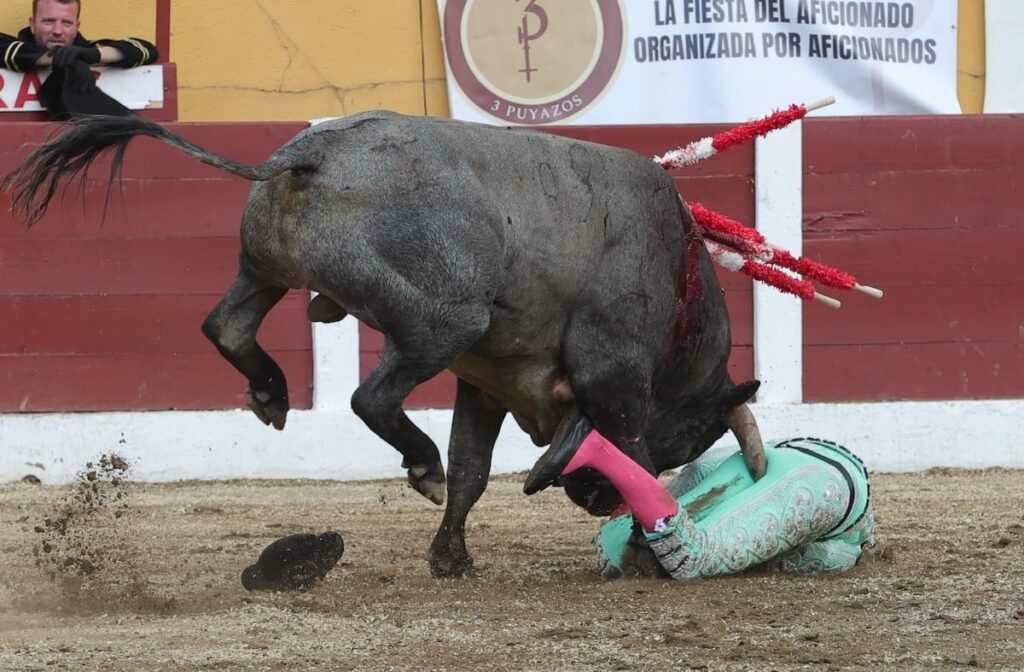 Serious goring to the banderillero José Mora