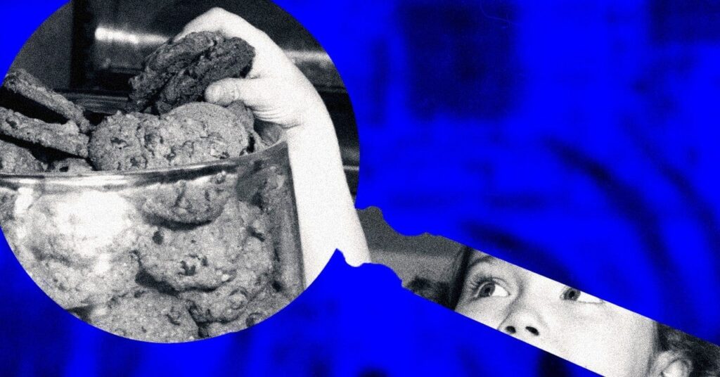 A Former Google Engineer Built a Search Engine for Finding Every Privacy Violation You Face Online