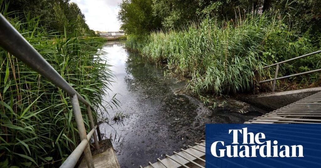 Information commissioner urges water firms to ‘be open’ about sewage spills