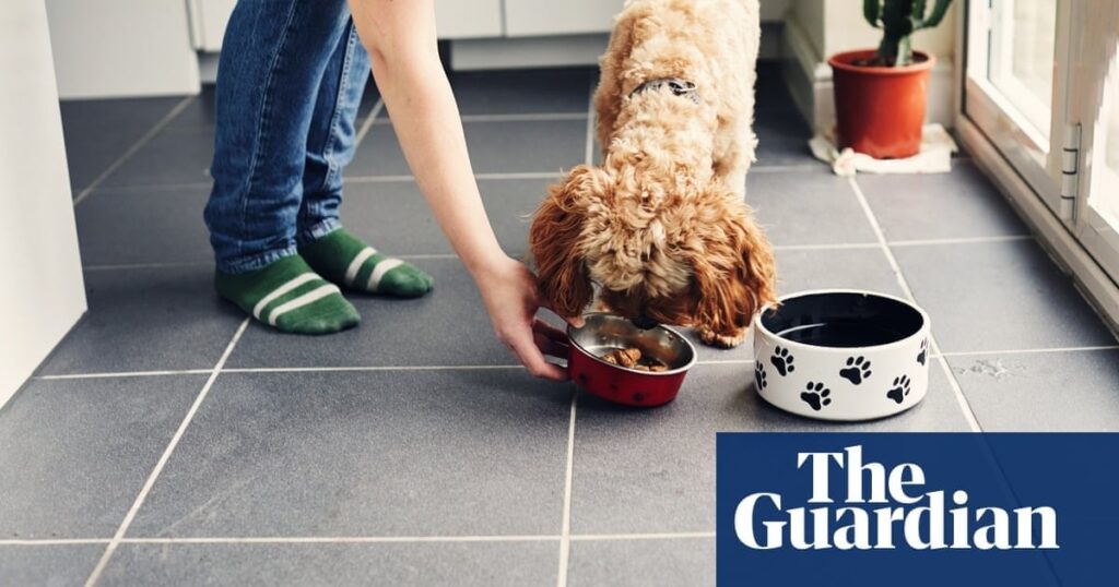 UK first European country to approve lab-grown meat, starting with pet food
