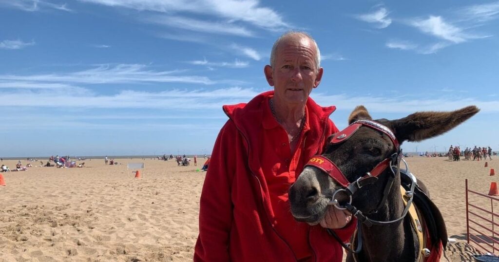 Seaside donkey owner is weighing kids to stop obese children injuring his animals