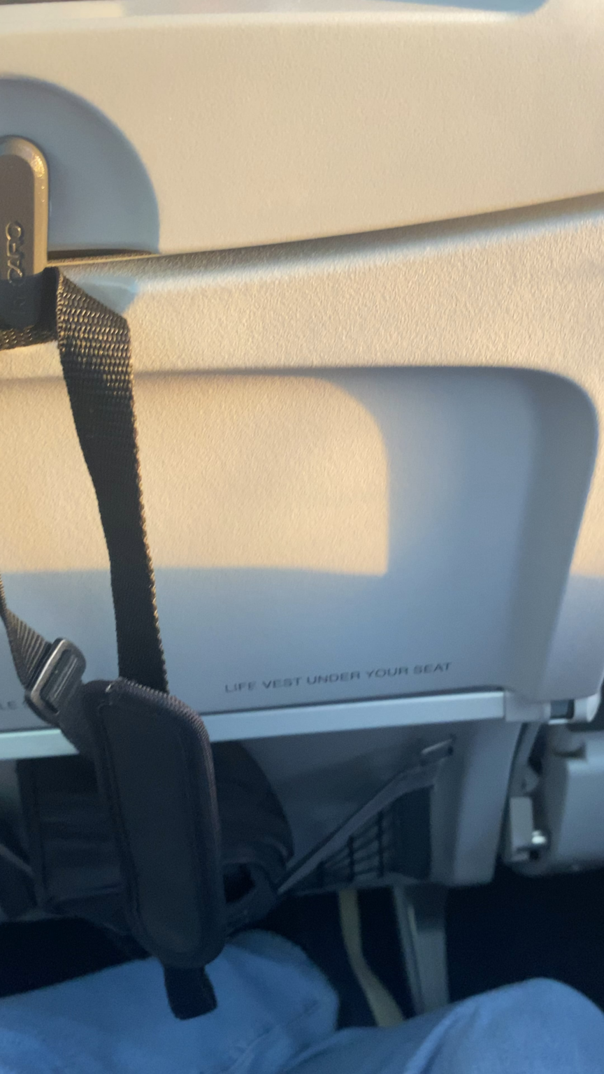 Ajet Fight (A fight broke out on a delayed Muğla-Istanbul flight because a small child was pushing the seat in front of him)