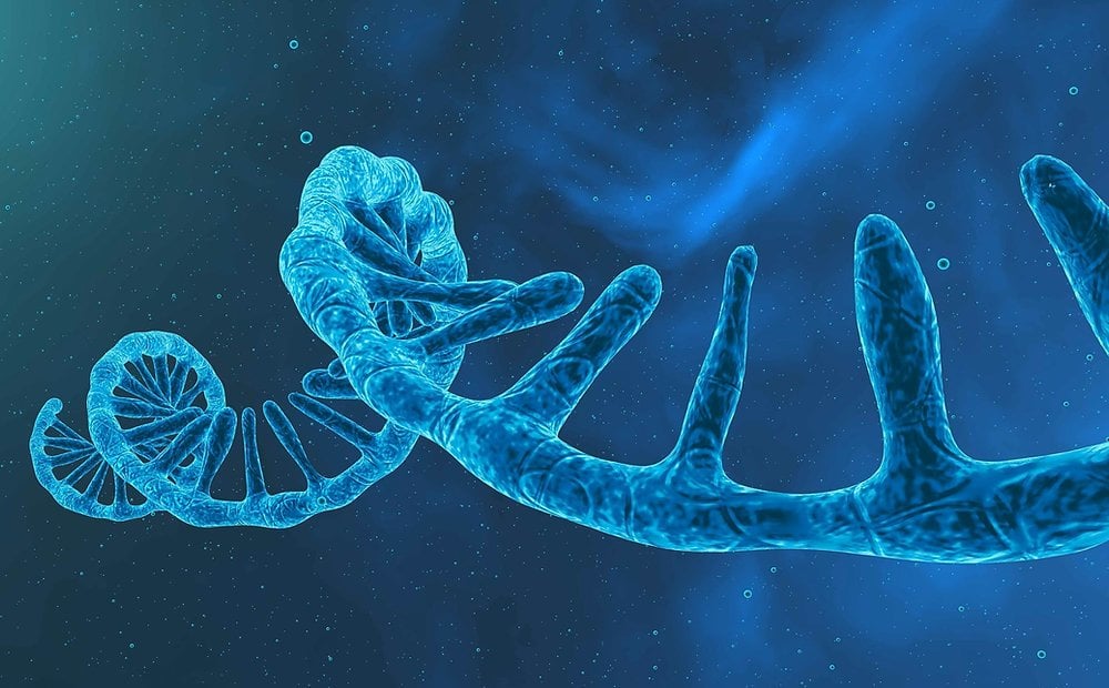 SeekRNA: Pioneering Precision Gene Editing Beyond CRISPR