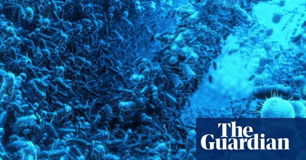 Autism could be diagnosed with stool sample, scientists say | The finding suggests that a routine stool sample test could help doctors identify autism early, meaning people would receive their diagnosis, and hopefully support, much faster than with the lengthy procedure used in clinics today.