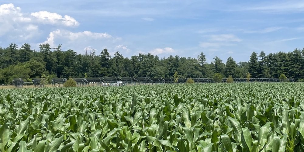 The evolving art and science of agrivoltaics
