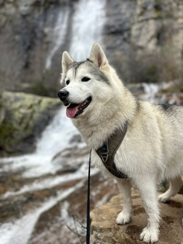 Pretty girl in Valverde de los Arroyos