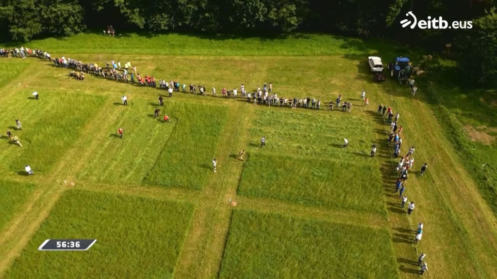 Cutting grass for the cattle is an everyday task. Doing it as quickly as possible avoids spoiling by rain. Naturally, it became a sport. All over Europe, there are grass-cutting competitions, such as here in the Basque Country. Winner is whoever cuts the most in a set amount of time. 21/07/2024