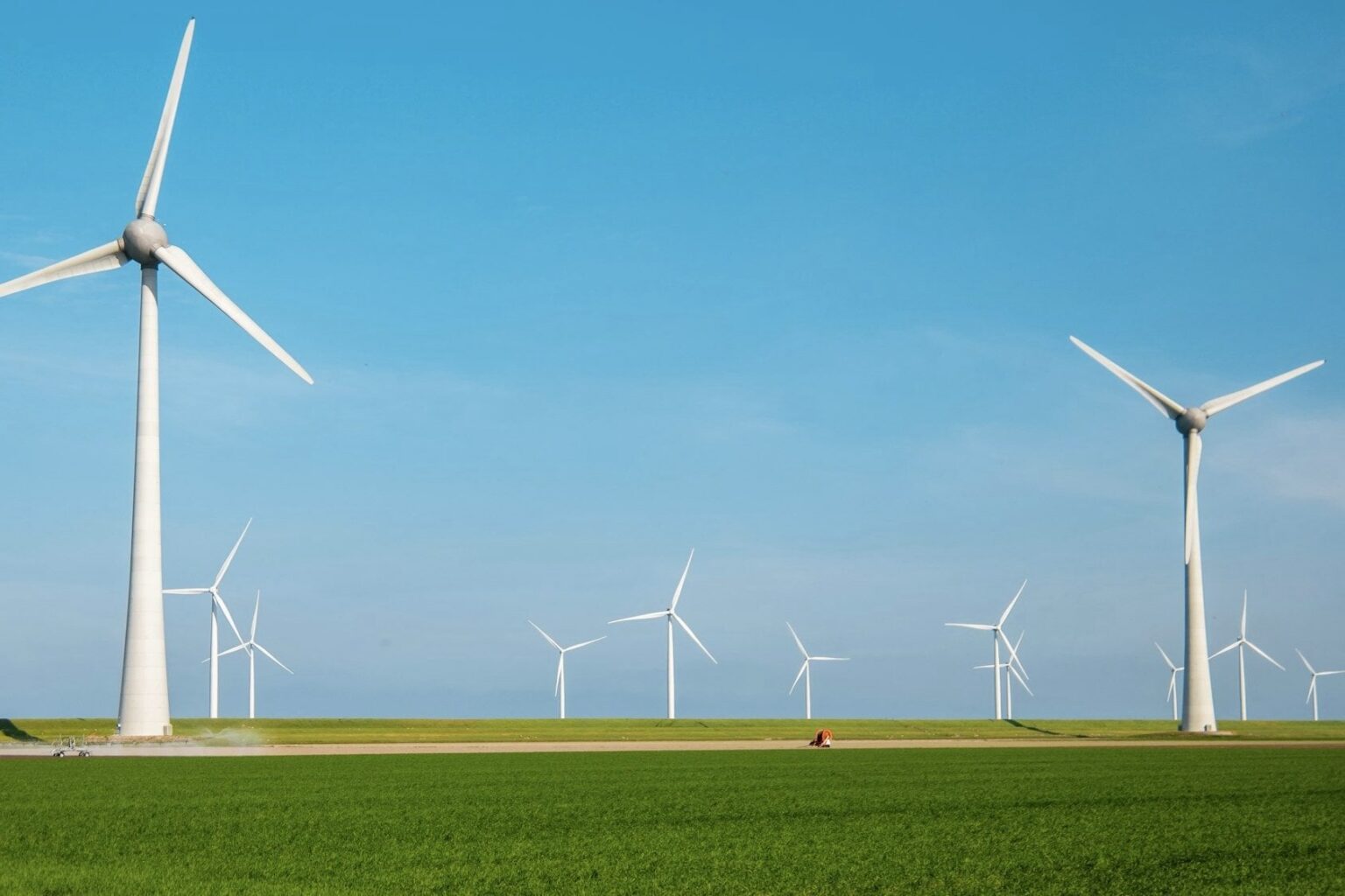 in achieving net zero carbon emissions by 2032, William, 42, is considering the installation of large-scale solar panel farms, biomass from decomposing organic matter, and geothermal energy drawn from beneath the Earth’s surface in addition to onshore wind turbines. in achieving net zero carbon emissions by 2032, William, 42, is considering the installation of large-scale solar panel farms, biomass from decomposing organic matter, and geothermal energy drawn from beneath the Earth’s surface in addition to onshore wind turbines.