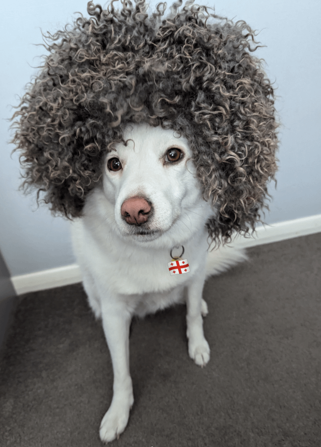 She might now be living in the UK, but this lil Georgian bitch doesn't forget her roots