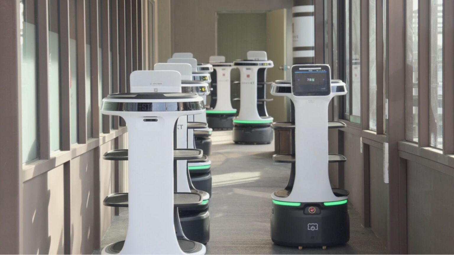 Civil servant robot ‘commits suicide’, deadly plunge under probe | Witnesses saw the robot erratically circling before its fall, sparking speculation about the cause.