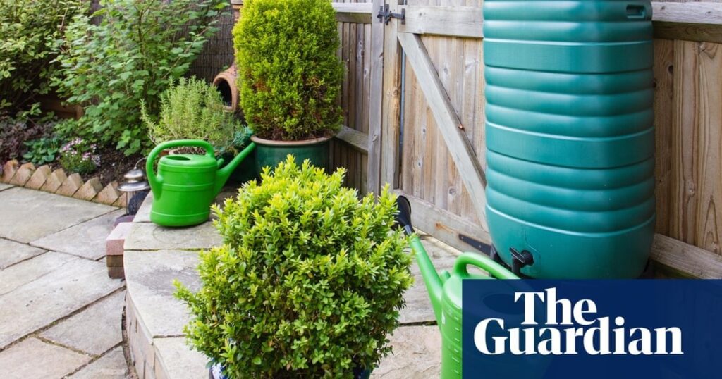 Londoners should be charged for paving gardens, says climate resilience report