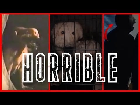 I LEAVE YOU WITH A NEW VIDEO CALLED 10 VIDEOS EXTRACTED FROM THE DEEP WEB
