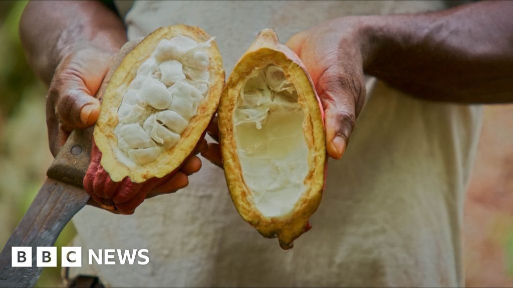 Scientists in Switzerland have come up with a way to make chocolate using the entire cocoa fruit rather than just the beans - and without using sugar.