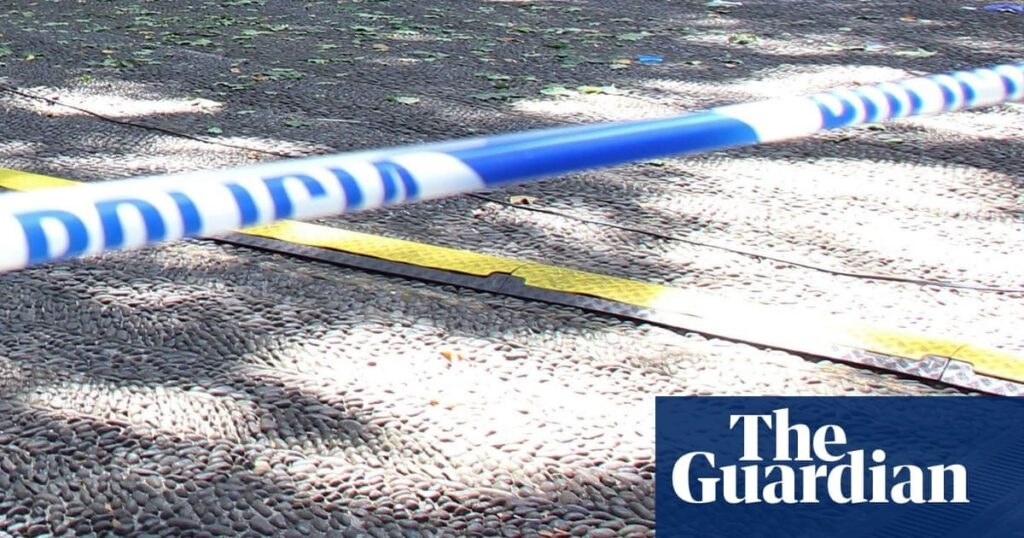 Fatal stabbing of boy in Spain casts spotlight on misinformation | False claims spread on social media that the suspect was of north African origin or an asylum seeker
