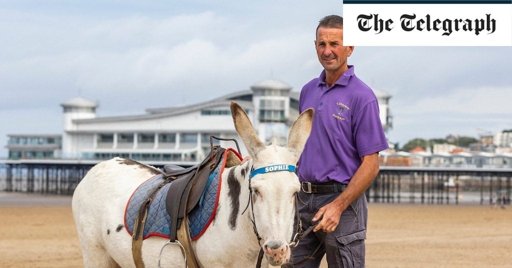 Campaigners call for ban of ‘outdated and cruel’ donkey rides
