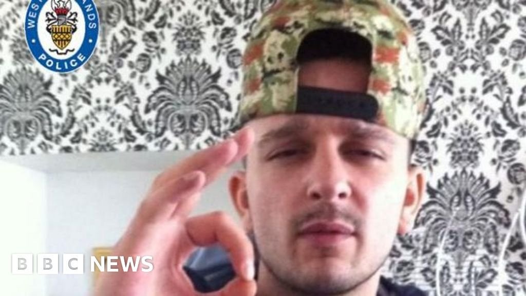 Dogs seized over man's death were XL bullies