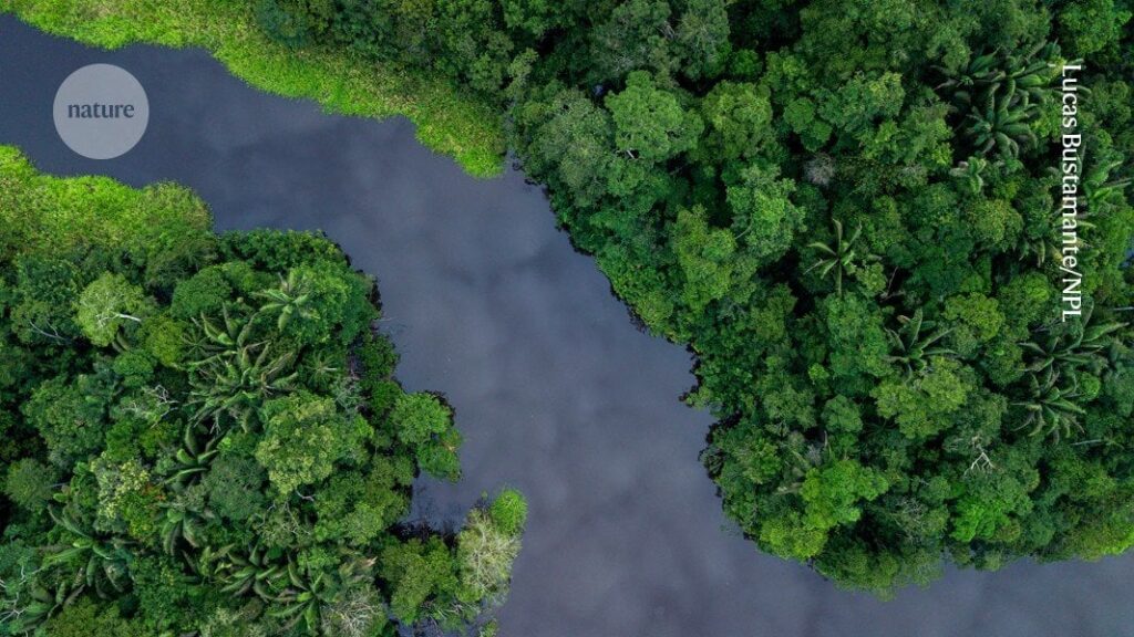 The Amazon is relinquishing its carbon — for a surprising reason
