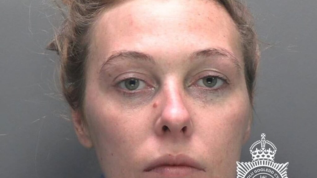 Female killer, 29, who looked like a ‘crazed animal’ as she knifed ‘sugar daddy’ lover to death ‘after he ran out of money’ is jailed for 25 years Female killer, 29, who looked like a 'crazed animal' as she knifed 'sugar daddy' lover to death 'after he ran out of money' is jailed for 25 years