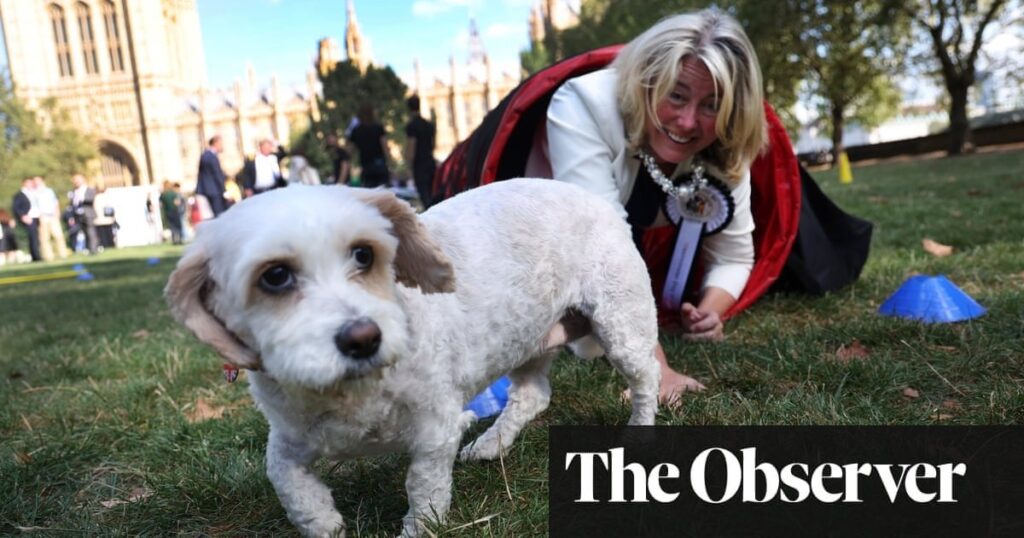 Pet thieves could be jailed for up to five years under new UK law