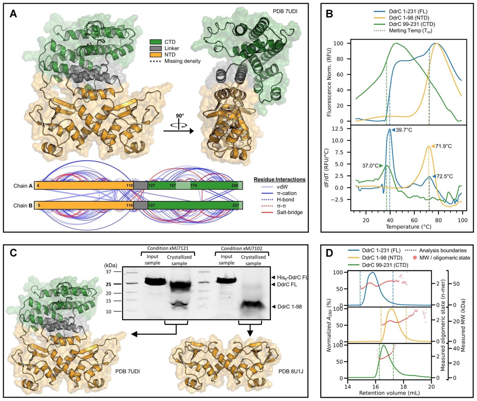 Researchers from Western University have discovered a protein that has the never-before-seen ability to stop DNA damage in its tracks.