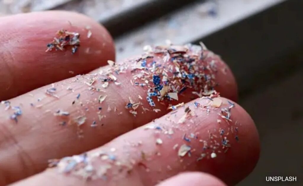 Microplastics Found In Clogged Arteries, Could Raise Risk of Heart Attack: Study