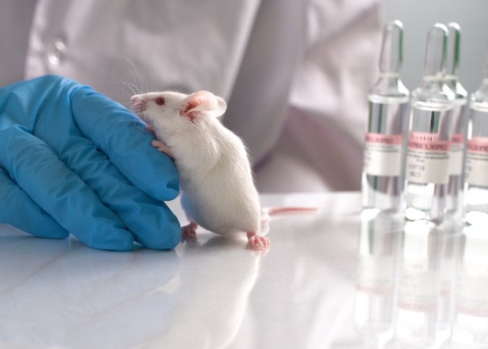 Edinburgh Medical Charity Ends Forced Swim Tests After PETA Campaign