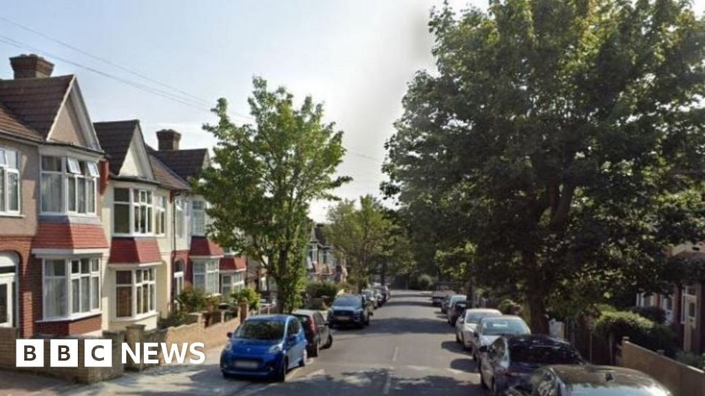 Woman accused of killing landlord and his cat