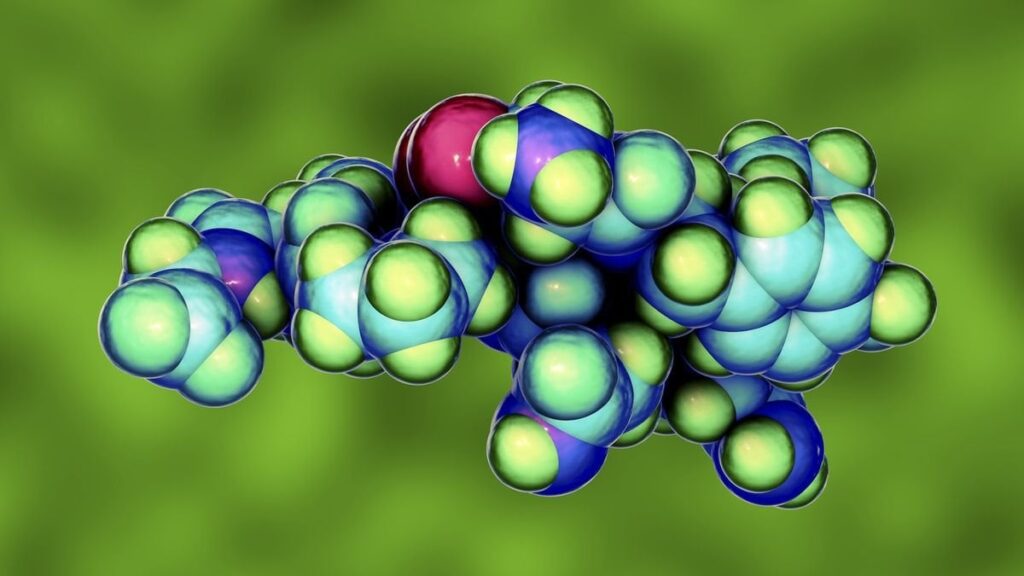 'Love hormone' oxytocin may be missing link between sleep apnea and high blood pressure