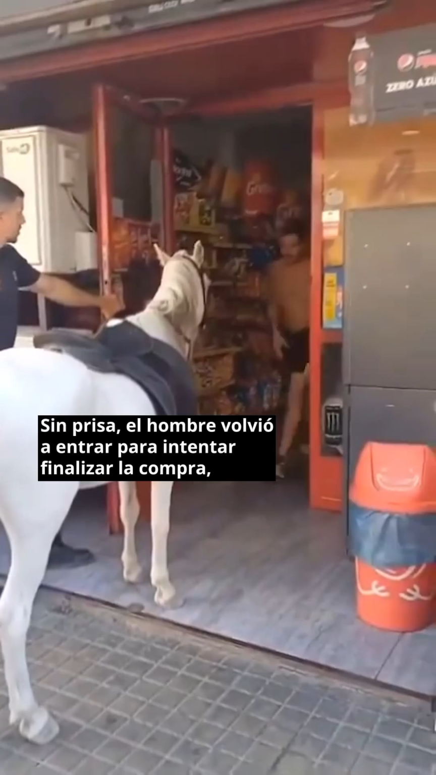 The police at Elche kick a man out of a store for entering with a horse