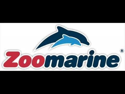 Help decipher the lyrics of the Zoomarine song