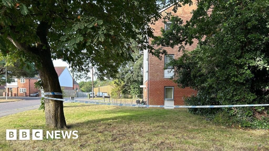 Dorset: Two arrested after young girl stabbed in Christchurch