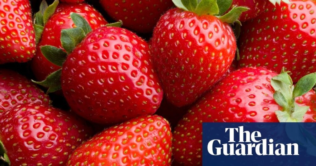 Strawberry yields: wet then warm weather leads to bumper UK harvest