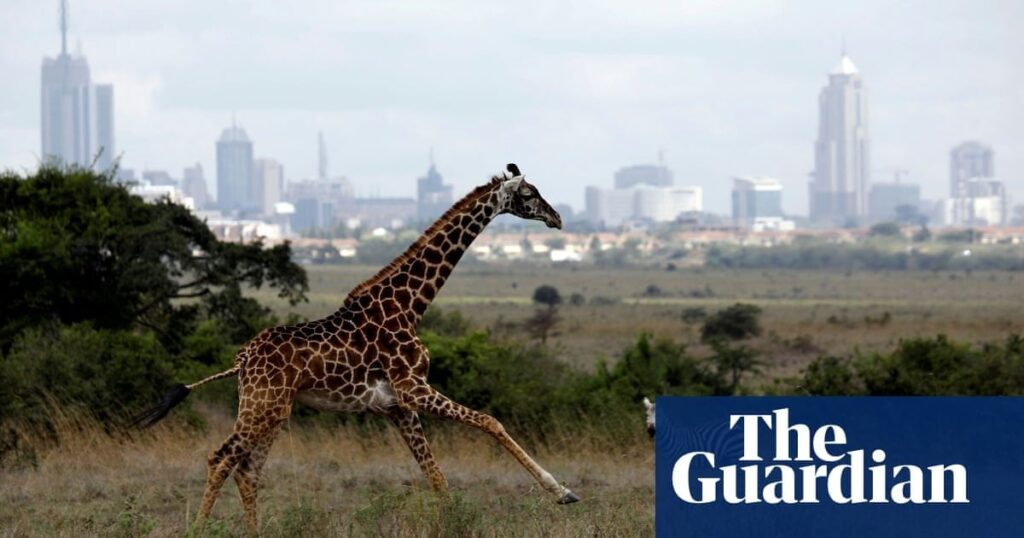 Humans to push further into wildlife habitats across more than 50% of land by 2070 – study | Sharing increasingly crowded spaces could result in greater risk of pandemics, human and animal conflicts and loss of nature, say researchers