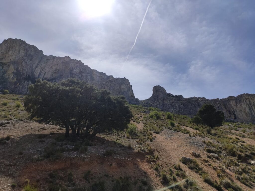 The Mella (Jaén)