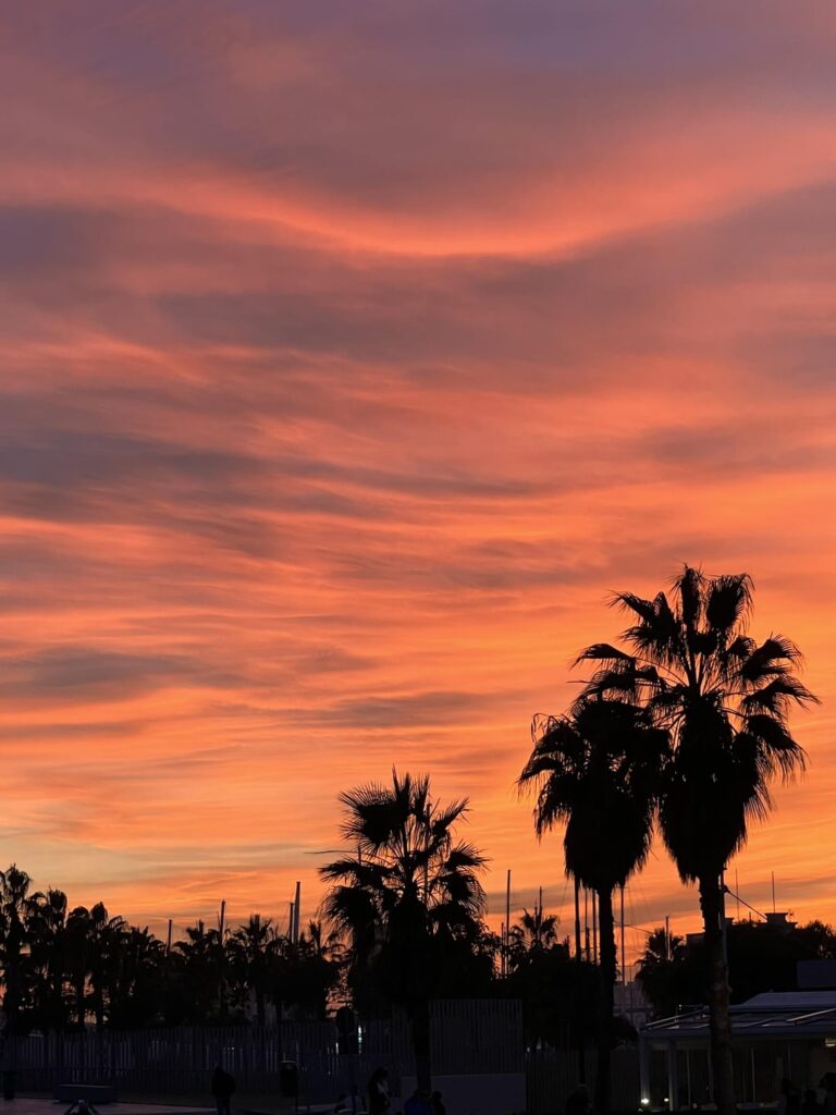 Evening in Valencia.