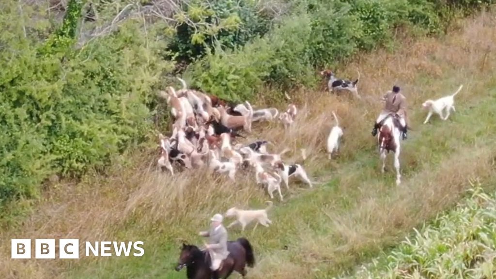 Dorset: Hunt master and worker guilty of illegal fox hunting