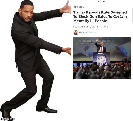 “How did a mentally ill person have access to guns in the first place?”