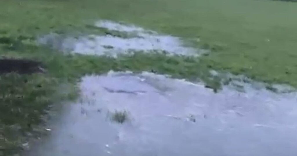Wheatfields Park in St Ives raw sewage after heavy rain