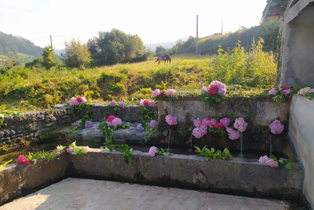 In many Asturian villages, on the eve of San Xuan, fountains are entwined with flowers. It is said that the flower of water caught in the morning has magical properties. In Asturias, on the eve of the summer solstice, some people decorate fountains with flowers. The "xanes" also come out that night.