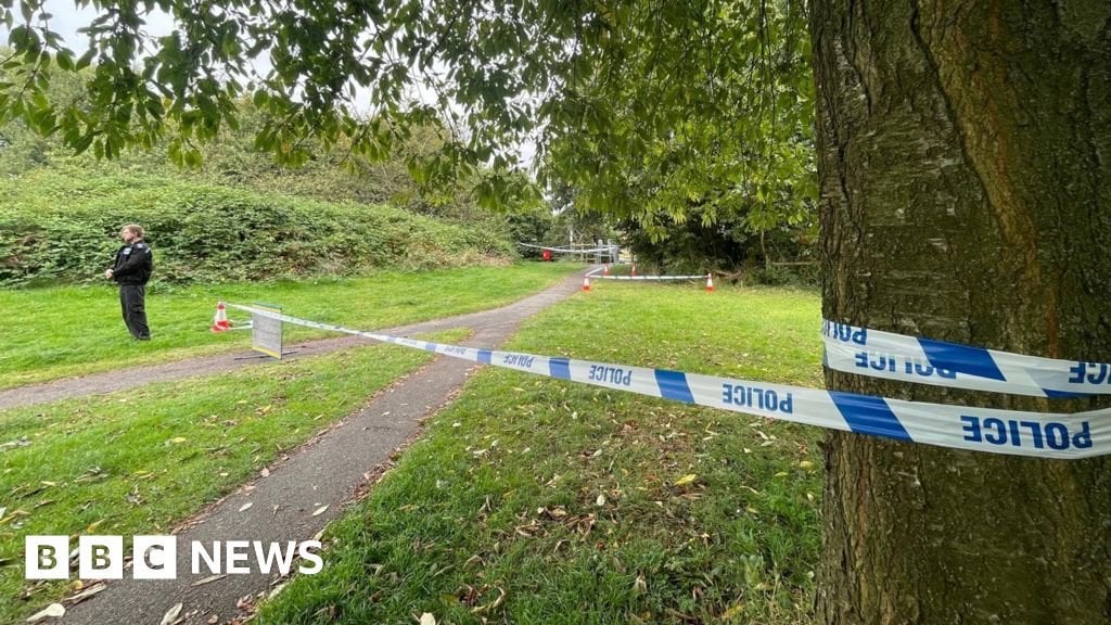 Children held over fatal attack on dog walker, 80