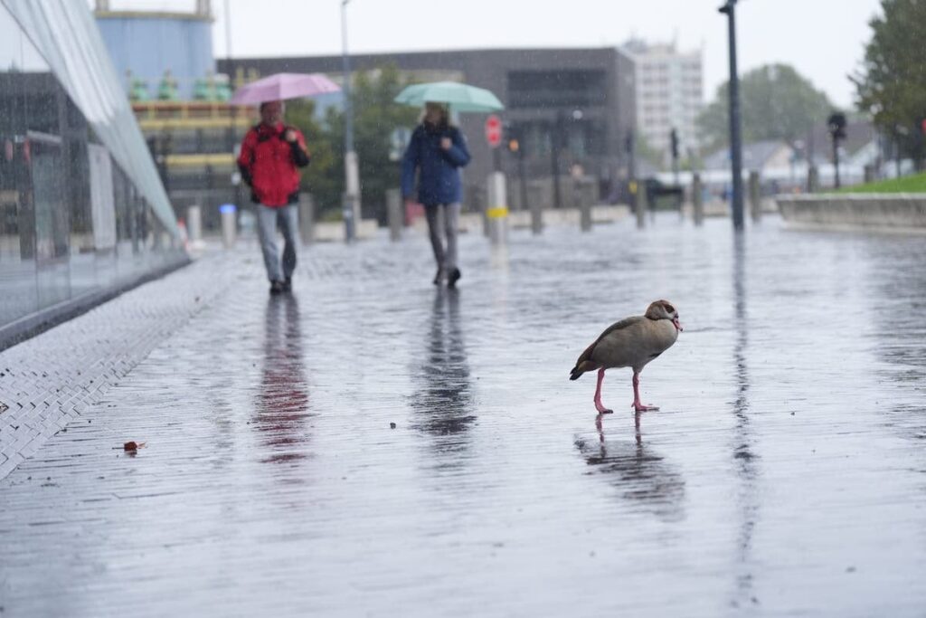 Parts of UK to be battered by 60mph winds after week of heavy rain and floods