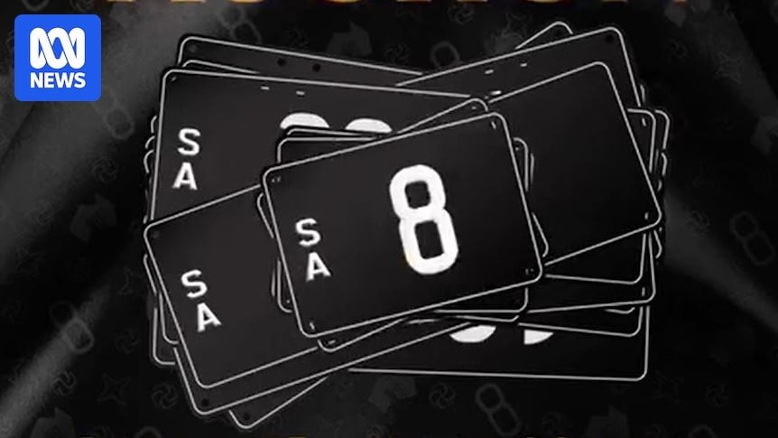 South Australian number plate 8 sold for $2.3m in record-breaking auction