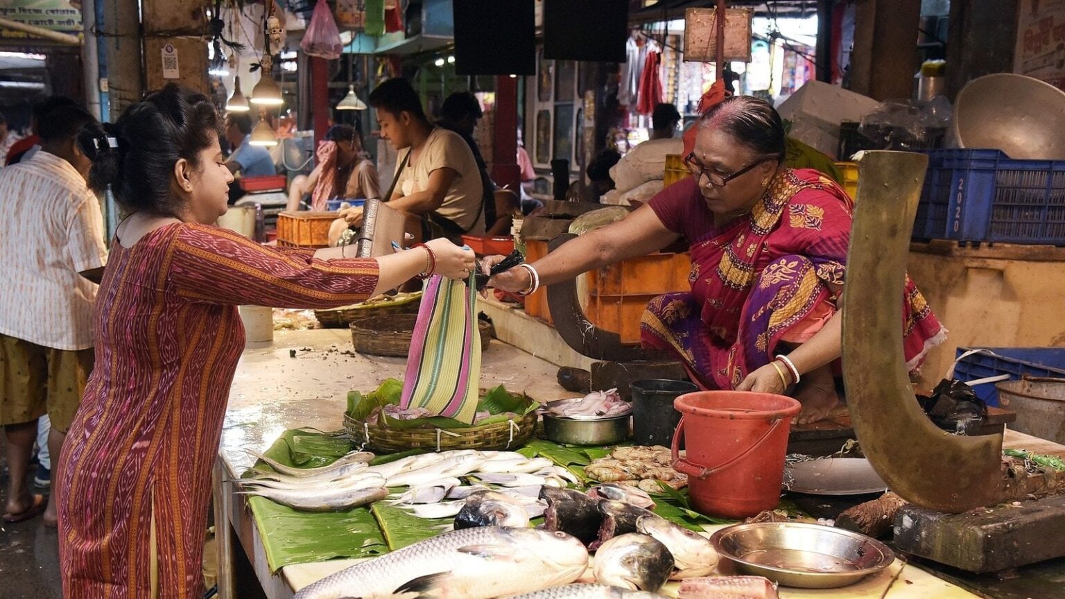 Bangladesh plays spoilsport, bans Padma Hilsa fish export to India ahead of Durga Puja