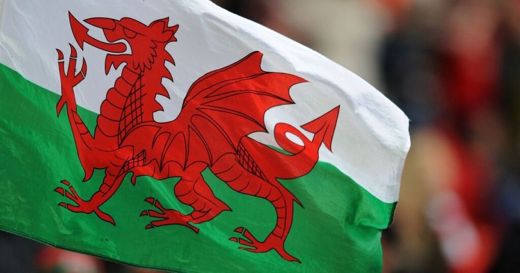 Council wants new homes to be restricted to Welsh speakers only
